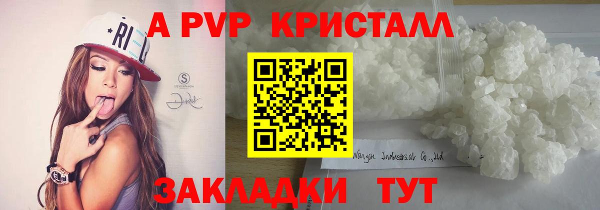 Альфа ПВП СК КРИС Сочи