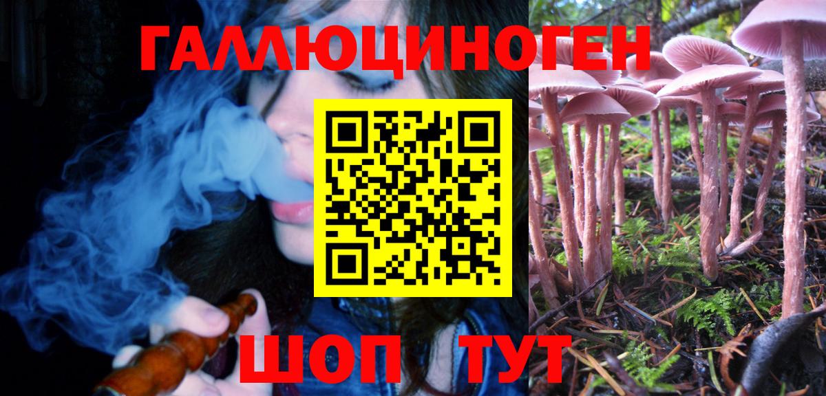 Псилоцибиновые грибы ЛСД Сочи